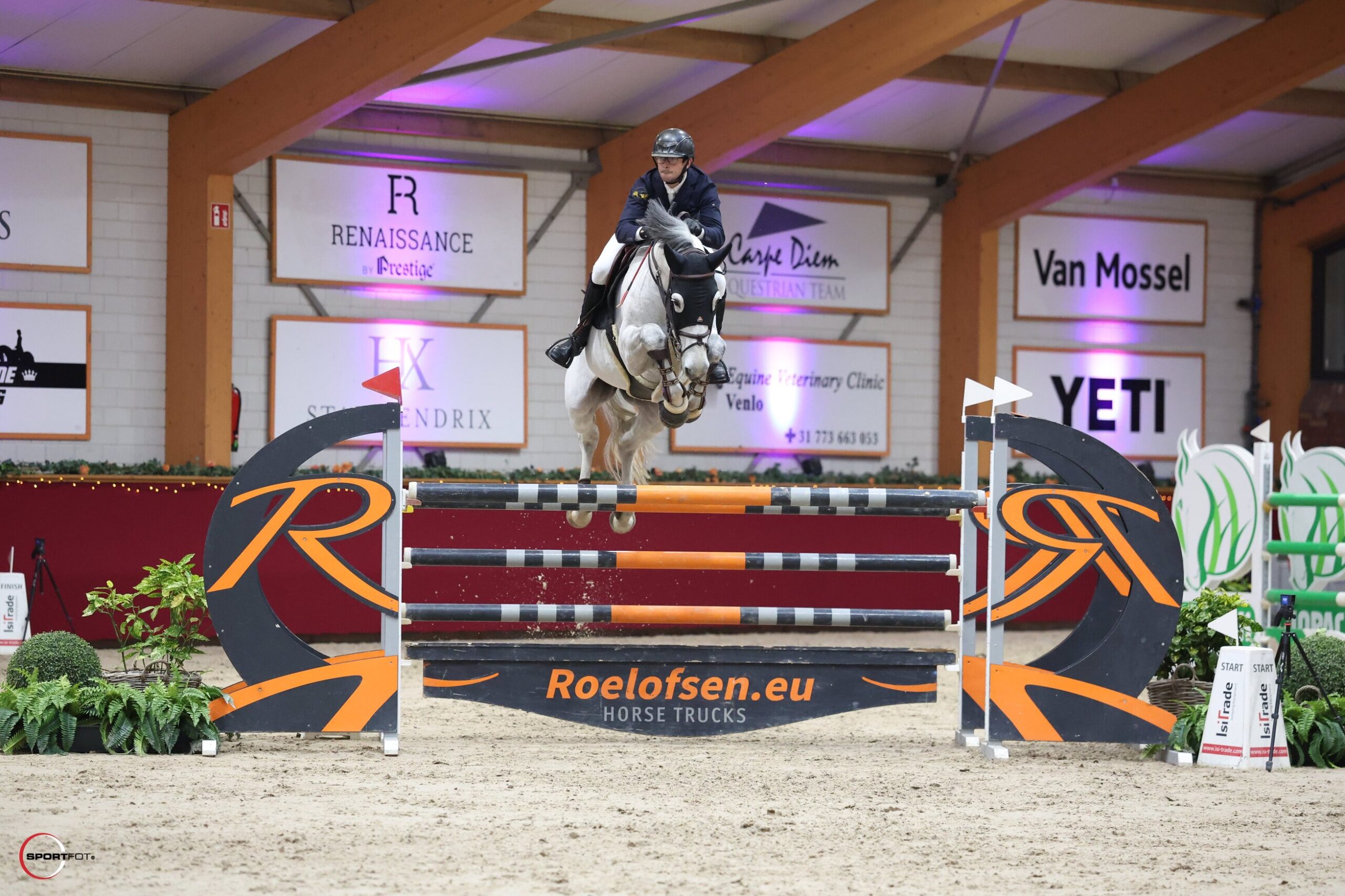 Mitch 37 - CROC HORSES