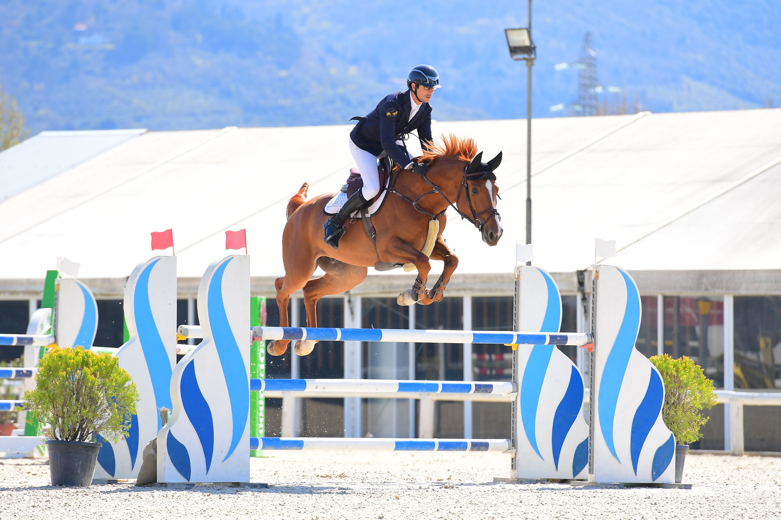 Ultra Easy M hongre présenté par Clear Round Company